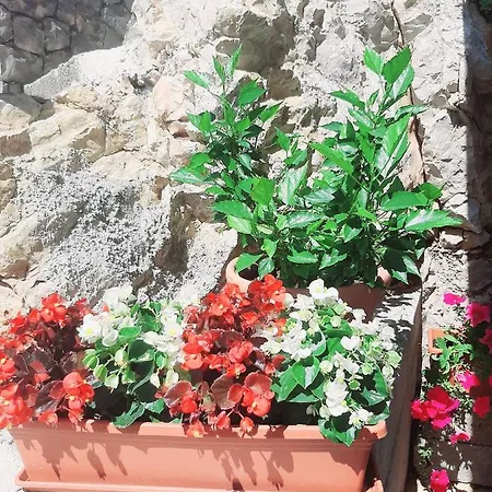 Tonkita With Jacuzzi Makarska